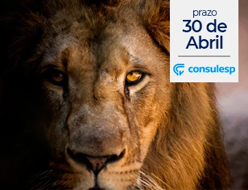 Qual a data limite para declarar o Imposto de Renda 2019?